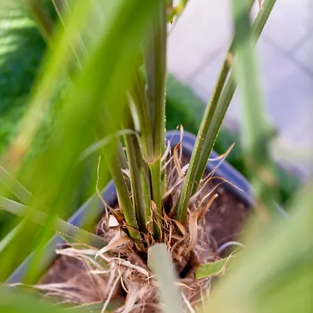 Bolyai 3br Ac Parking Grf Apartment *