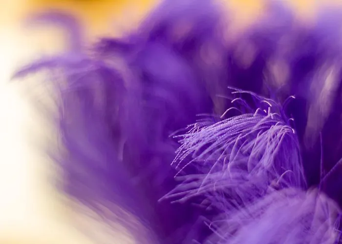 Bolyai 3br Ac Parking Grf Lägenhet Siófok