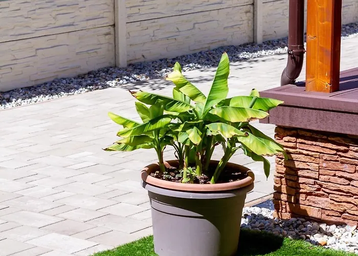 Bolyai 3br Ac Parking Grf Siófok